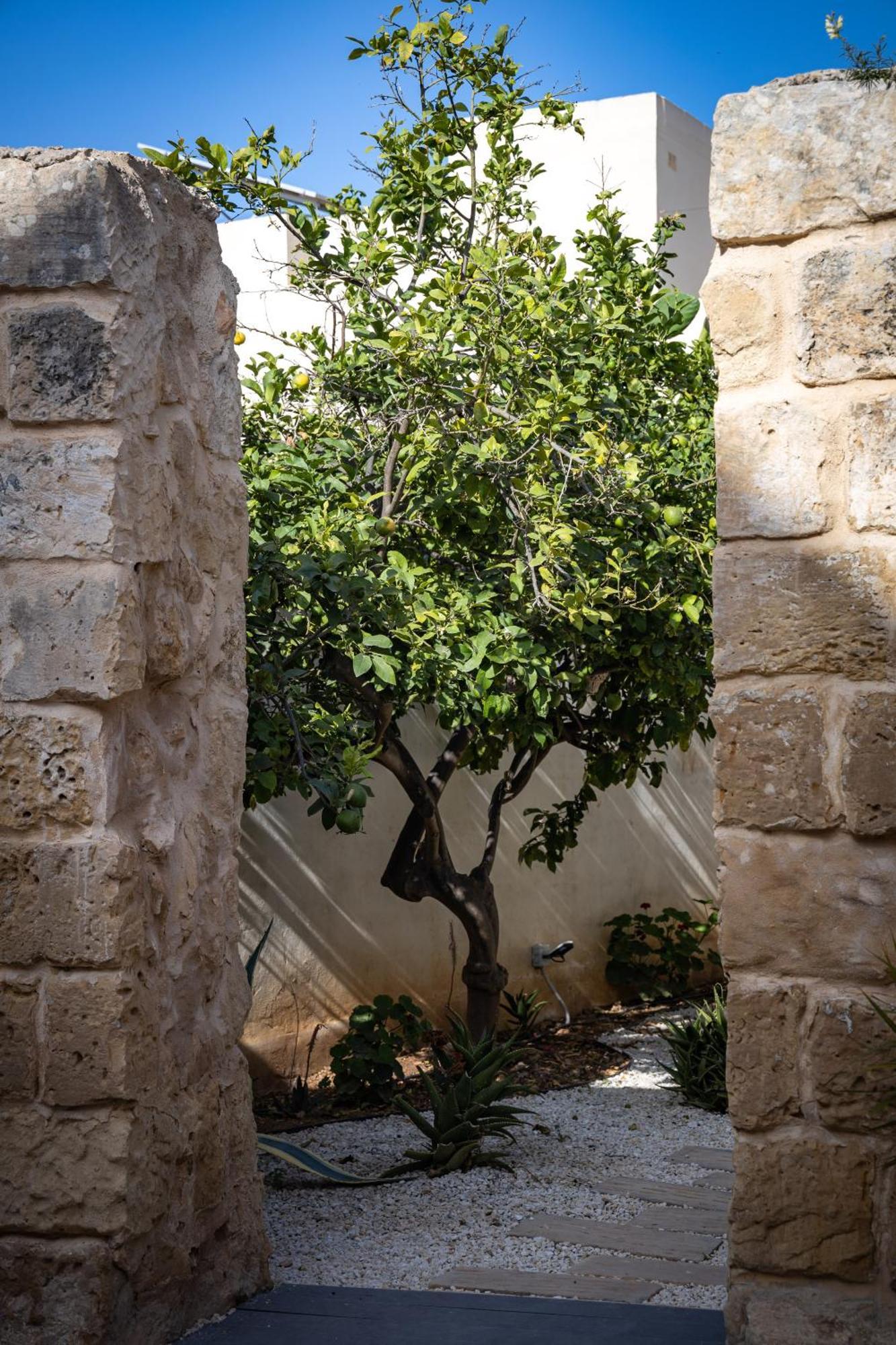 Lemon Tree Relais By Cx Collection Otel Żabbar Dış mekan fotoğraf